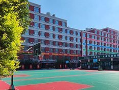 ������Ӗ(x��n)��_F1���w�Ļ��͏d